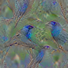 n01537544 indigo bunting, indigo finch, indigo bird, Passerina cyanea